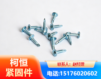 黄山华司钻尾丝