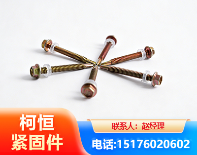 黄山六角钻尾丝